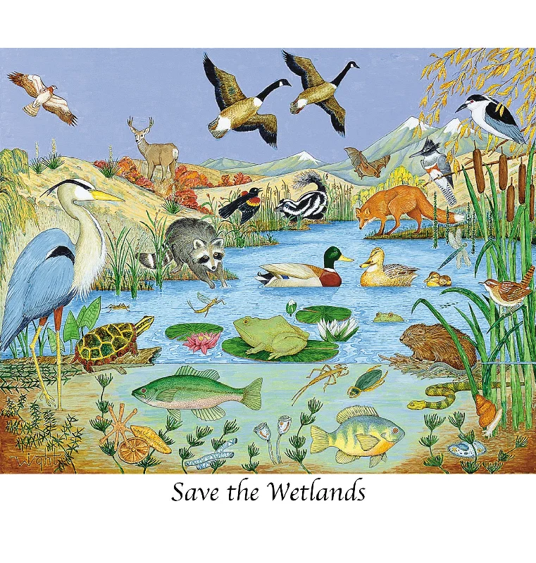 Save the Wetlands